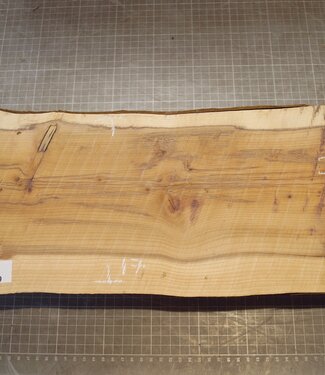 Yew, approx. 380 x 170 x 85 mm, 3 kg