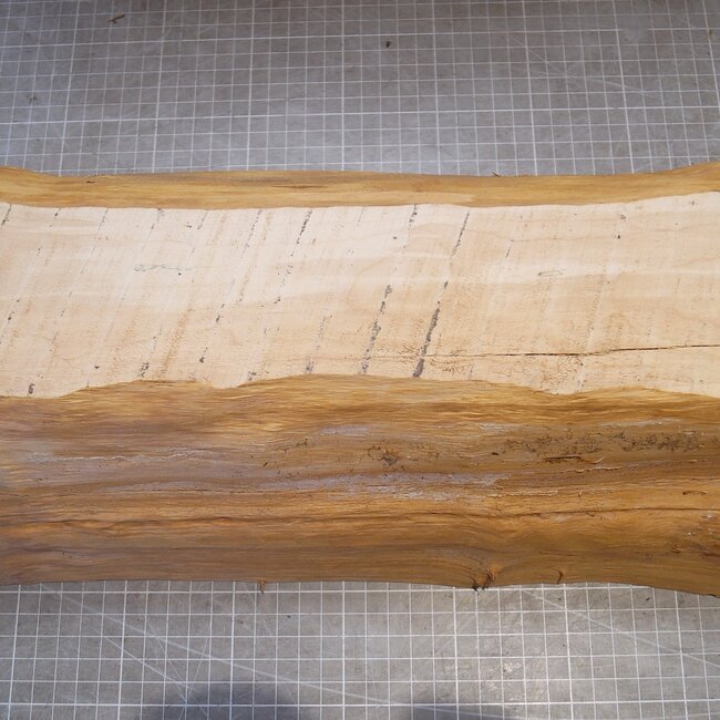 Eibe, ca. 360 x 170 x 85 mm, 3,4 kg