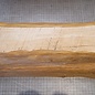 Eibe, ca. 360 x 170 x 85 mm, 3,4 kg