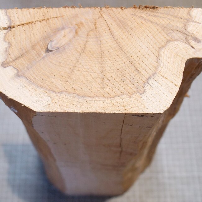 Eibe, ca. 360 x 170 x 85 mm, 3,4 kg