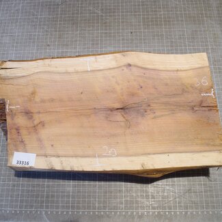 Yew, approx. 360 x 200 x 93 mm, 4,8 kg