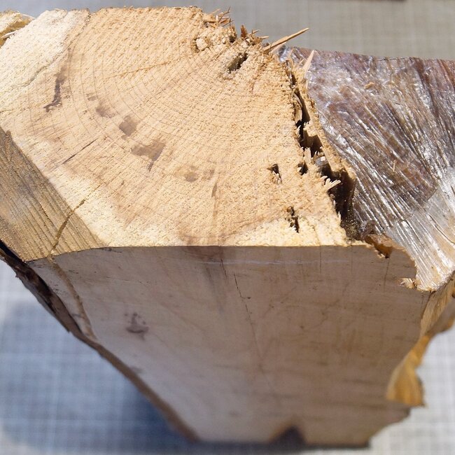 Eibe, ca. 360 x 200 x 93 mm, 4,8 kg