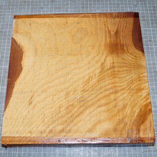 Lebanon Cedar, approx. 280 x 280 x 51mm, 2,2kg