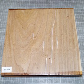 Dutch elm,steamed, approx. 310 x 310 x 65mm, 3,5kg
