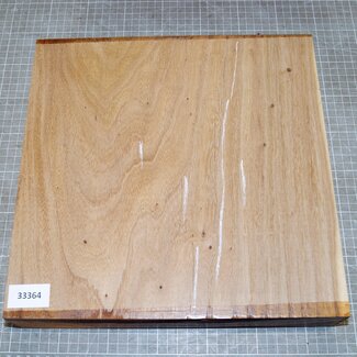 Dutch elm,steamed, approx. 310 x 310 x 65mm, 3,5kg