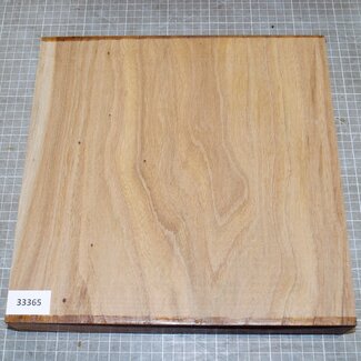 Dutch elm,steamed, approx. 300 x 300 x 52mm, 2,7kg