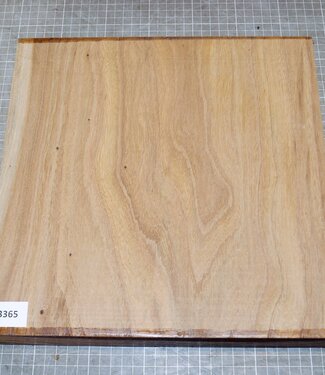 Dutch elm,steamed, approx. 300 x 300 x 52mm, 2,7kg