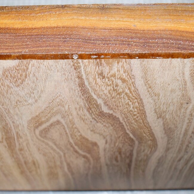 Rüster, gedämpft, ca. 300 x 300 x 52mm, 2,7kg