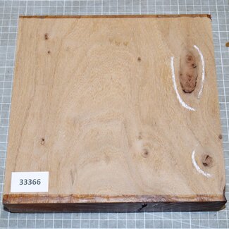Dutch elm,steamed, approx. 220 x 220 x 50mm, 1,3kg