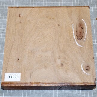 Rüster, gedämpft, ca. 220 x 220 x 50mm, 1,3kg