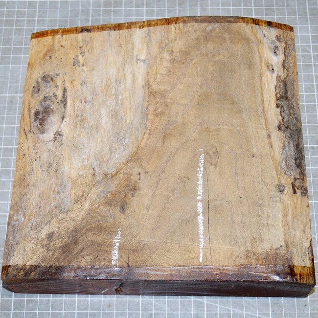 Dutch elm,steamed, approx. 220 x 220 x 50mm, 1,3kg