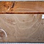 Dutch elm,steamed, approx. 220 x 220 x 50mm, 1,3kg