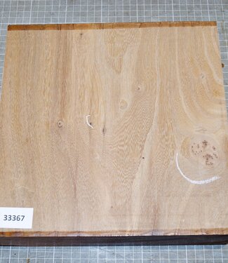 Dutch elm,steamed, approx. 250 x 250 x 65mm, 2,4kg