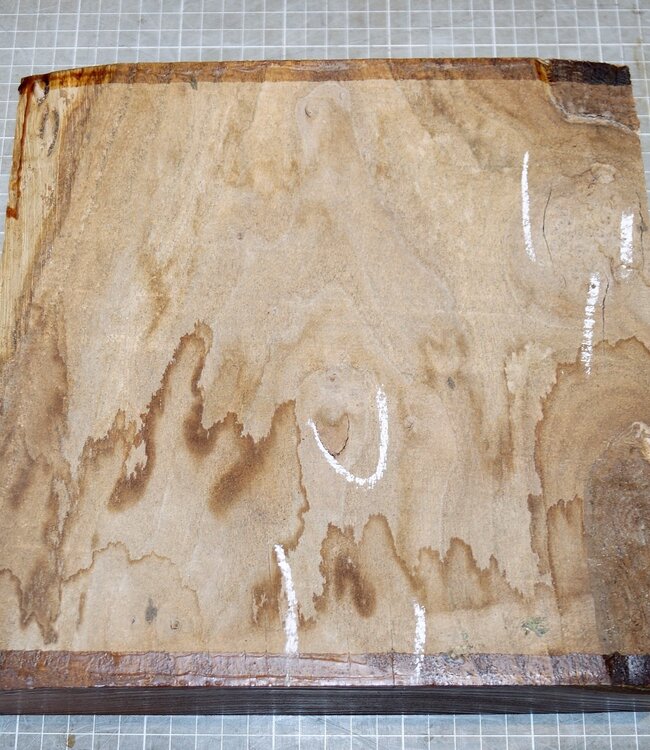 Rüster, gedämpft, ca. 250 x 250 x 65mm, 2,4kg