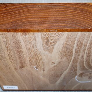 Dutch elm,steamed, approx. 250 x 250 x 65mm, 2,4kg