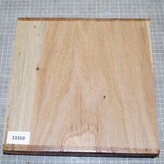 Rüster, gedämpft, ca. 260 x 260 x 50mm, 2,1kg