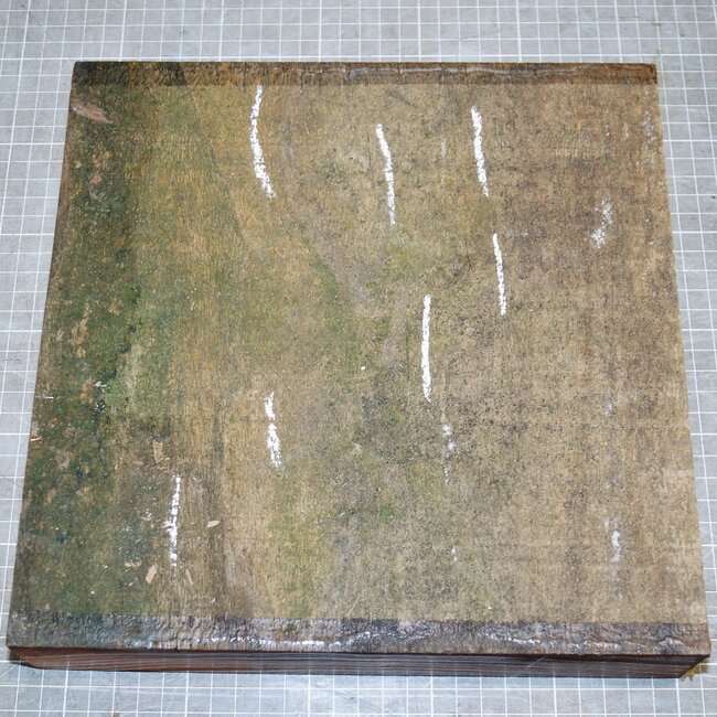 Rüster, gedämpft, ca. 260 x 260 x 50mm, 2,1kg