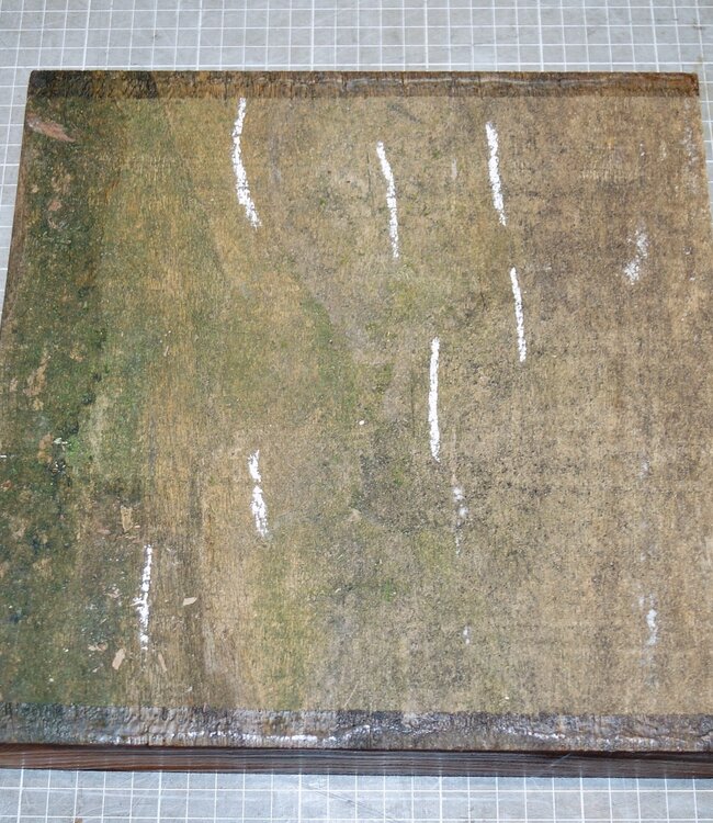 Rüster, gedämpft, ca. 260 x 260 x 50mm, 2,1kg