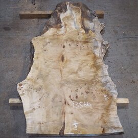 Pappel Maser Tischplatte, ca. 1640 x 950/650 x 65 mm, 13566
