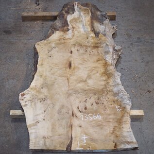 Mappa, poplar burl table top, approx. 1640 x 950/650 x 65 mm, 13566