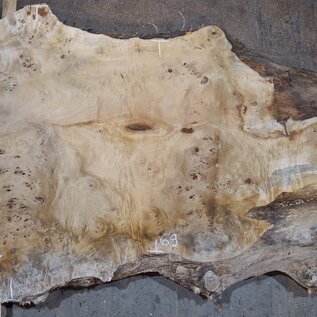 Mappa, poplar burl table top, approx. 1640 x 950/650 x 65 mm, 13566