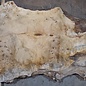 Mappa, poplar burl table top, approx. 1640 x 950/650 x 65 mm, 13566