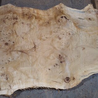 Mappa, poplar burl table top, approx. 1640 x 950/650 x 65 mm, 13566