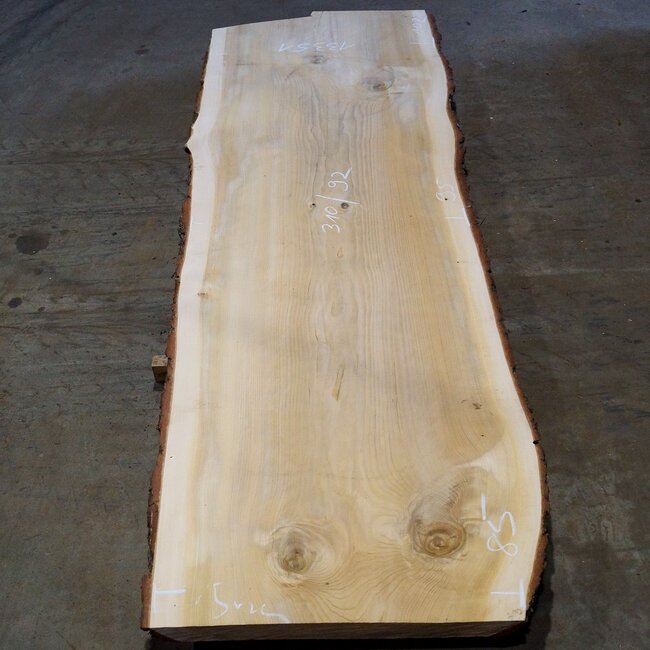 Lebanon Cedar table top, approx. 3000 x 1020/920/850 x 75 mm, 13351