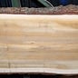 Lebanon Cedar table top, approx. 3100 x 1020/920/850 x 75 mm, 13351
