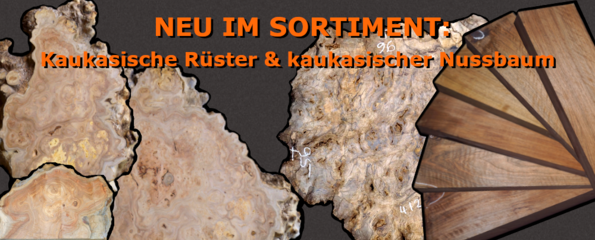 NEU: Kaukasus Rüster & Nuss Maser Platten