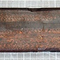 Snakewood, Fretboard approx. 720 x 78 x 9 mm, 21706