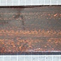 Snakewood, Fretboard approx. 720 x 78 x 9 mm, 21706