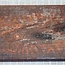 Snakewood, Fretboard approx. 530 x 99 x 9 mm, 21702