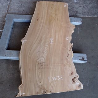 Elm table top, approx. 1600 x 650 x 54 mm, 13652