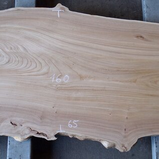 Elm table top, approx. 1600 x 650 x 54 mm, 13652