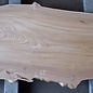 Rüster Tischplatte, ca. 1600 x 650 x 54 mm, 13652