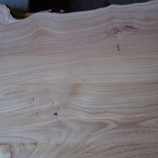 Elm table top, approx. 1600 x 650 x 54 mm, 13652