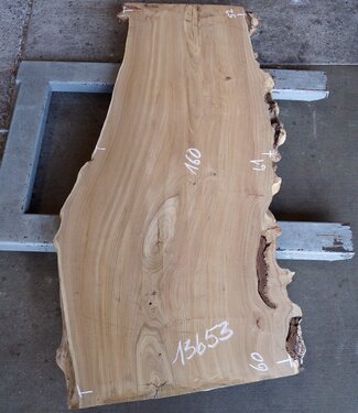 Elm table top, approx. 1600 x 610 x 54 mm, 13653