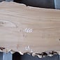 Elm table top, approx. 1600 x 610 x 54 mm, 13653