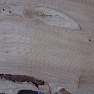 Elm table top, approx. 1600 x 610 x 54 mm, 13653