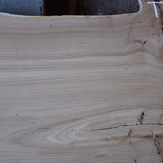 Elm table top, approx. 1600 x 610 x 54 mm, 13653
