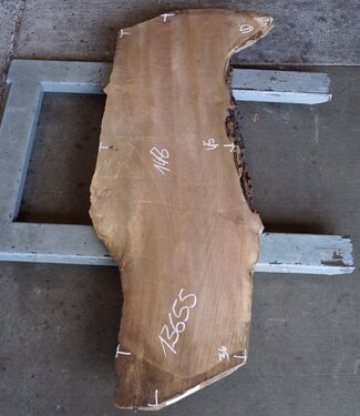 Caucasian Walnut, approx. 1480 x 450 x 60 mm, 13655