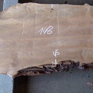 Caucasian Walnut, approx. 1480 x 450 x 60 mm, 13655