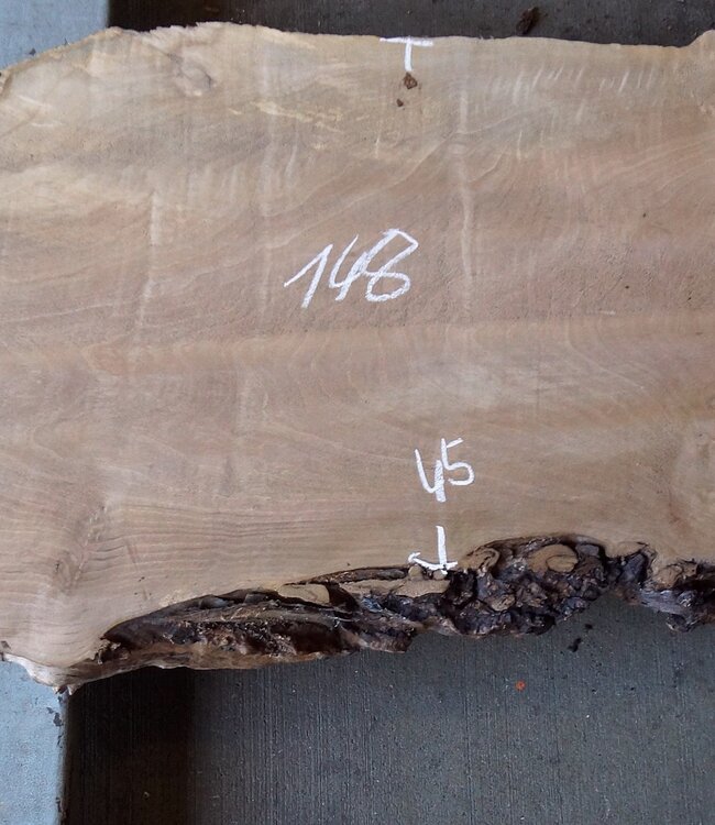 Kaukasischer Nussbaum, ca. 1480 x 450 x 60 mm, 13655