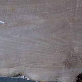 Caucasian Walnut, approx. 1480 x 450 x 60 mm, 13655