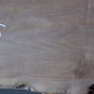 Caucasian Walnut, approx. 1480 x 450 x 60 mm, 13655