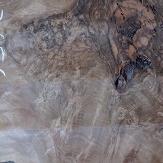 Caucasian Walnut burl, approx. 1600 x 500 x 60 mm, 13656