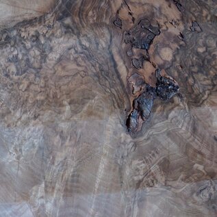 Caucasian Walnut burl, approx. 1600 x 500 x 60 mm, 13656
