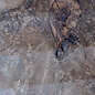 Caucasian Walnut burl, approx. 1600 x 500 x 60 mm, 13656