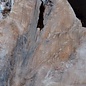 Kaukasischer Nussbaum, Maser, ca. 1600 x 500 x 60 mm, 13656